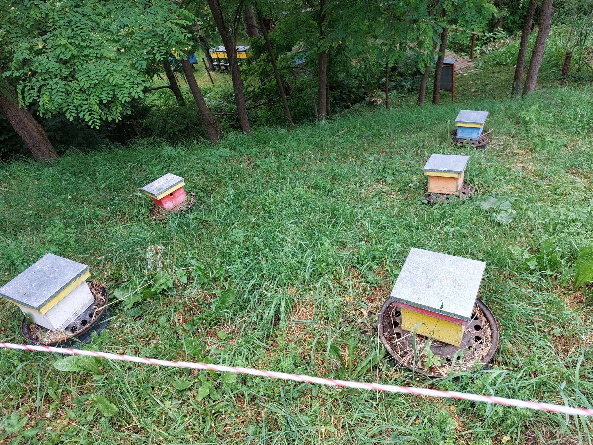 514395437_4075305656057143_1611820317176833314_n